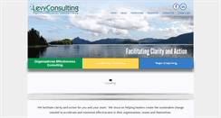 Desktop Screenshot of levyconsulting.net