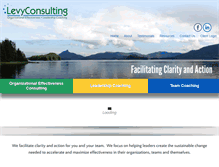 Tablet Screenshot of levyconsulting.net